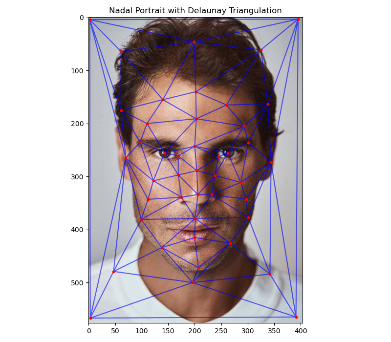 Nadal's Portrait with Delaunay Triangulation