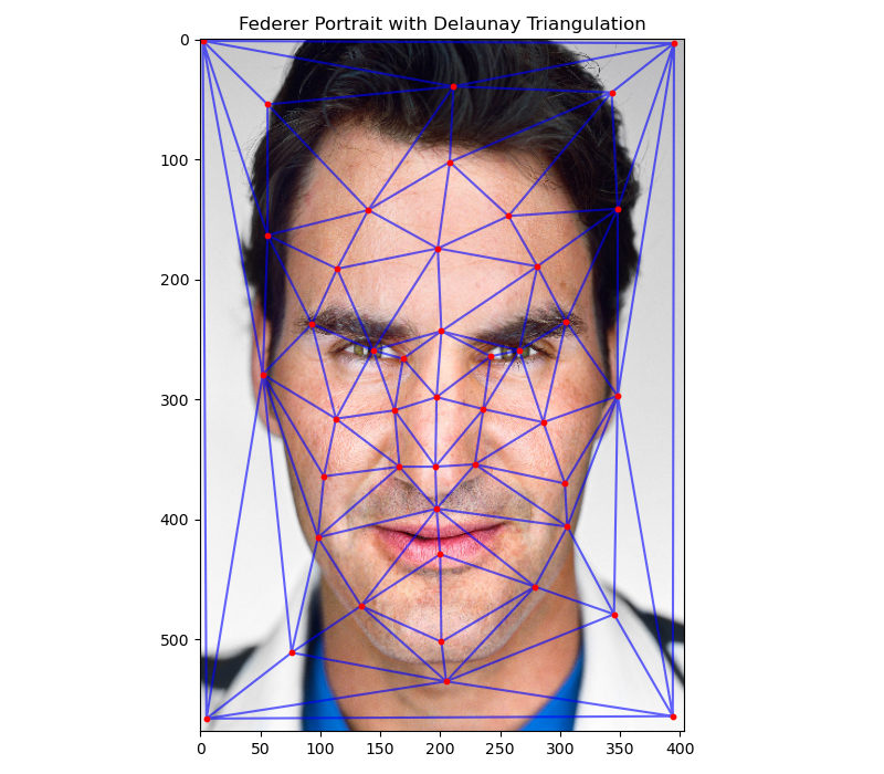 Federer's Portrait with Delaunay Triangulation