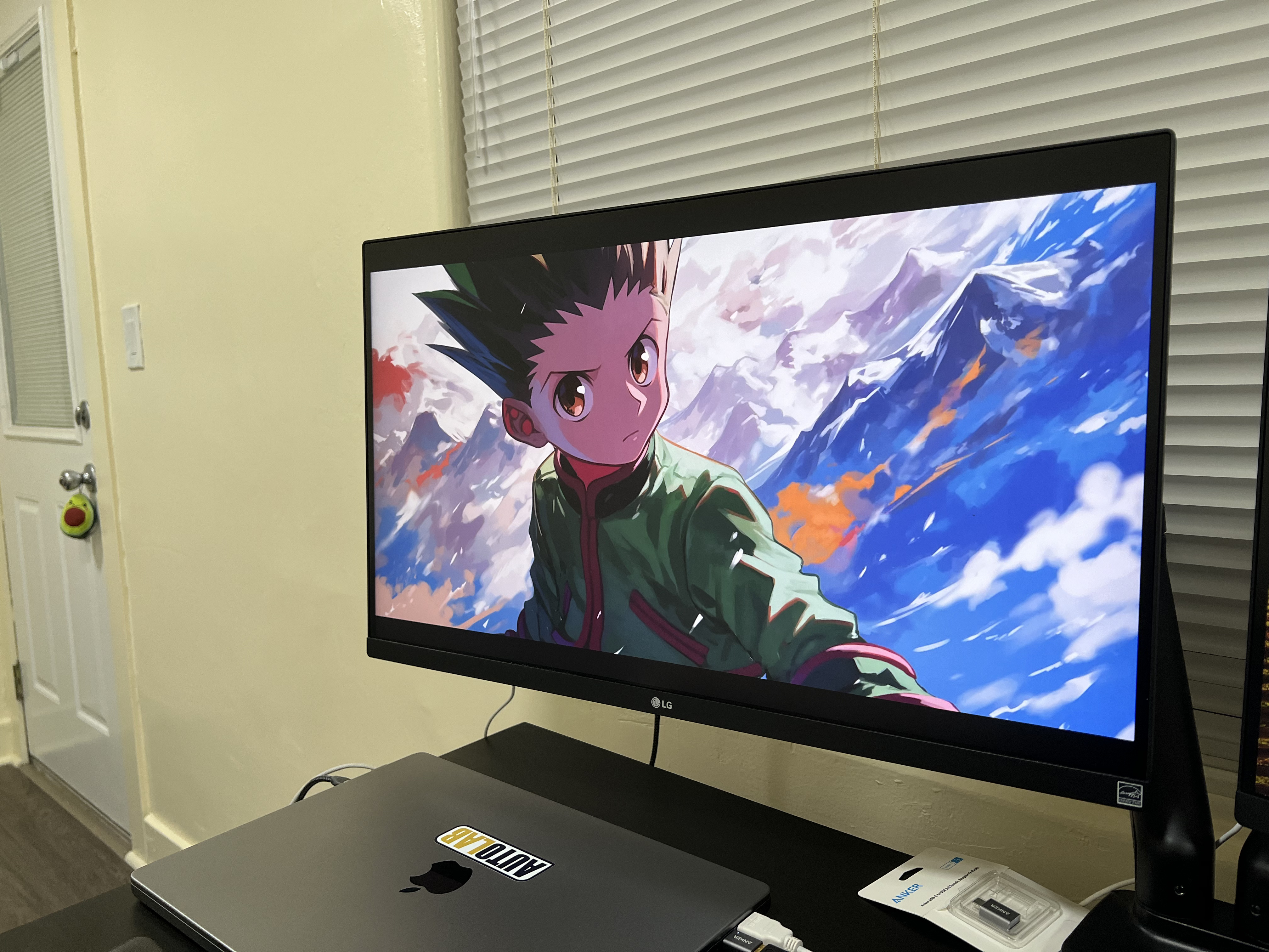 Gon Image